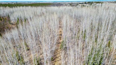 5303 Markham Road Makinen MN 55763