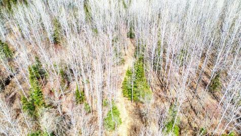 5303 Markham Road Makinen MN 55763