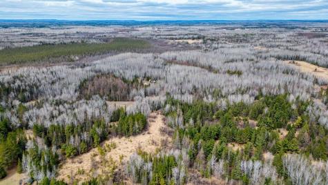 5303 Markham Road Makinen MN 55763