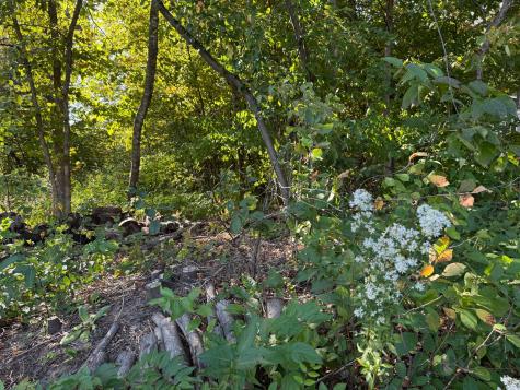 44015 100th Avenue Holdingford MN 56340