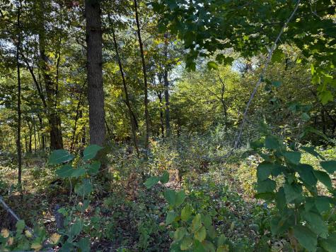 44015 100th Avenue Holdingford MN 56340