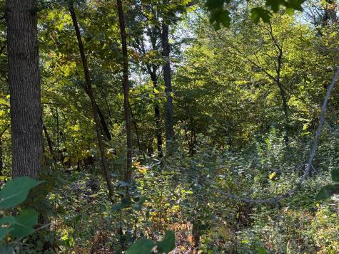 44015 100th Avenue Holdingford MN 56340