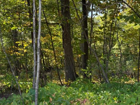 44015 100th Avenue Holdingford MN 56340