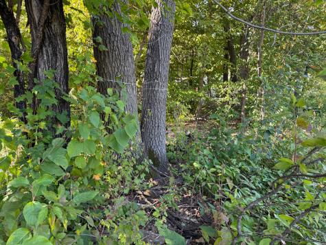44015 100th Avenue Holdingford MN 56340