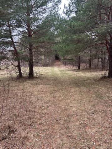 Tbd 253rd Street NW Zimmerman MN 55398