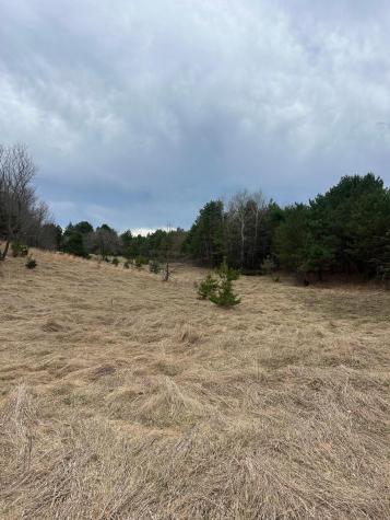 Tbd 253rd Street NW Zimmerman MN 55398