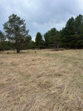 Tbd 253rd Street NW Zimmerman MN 55398
