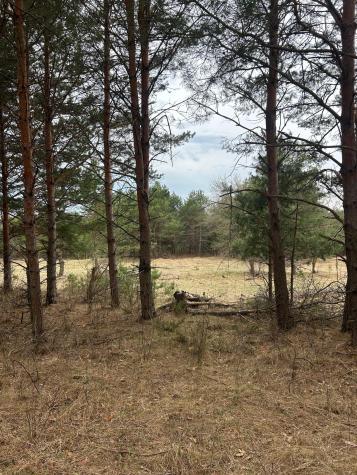 Tbd 253rd Street NW Zimmerman MN 55398