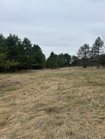 Tbd 253rd Street NW Zimmerman MN 55398