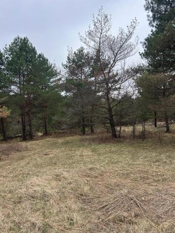 Tbd 253rd Street NW Zimmerman MN 55398