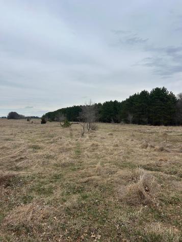 Tbd 253rd Street NW Zimmerman MN 55398