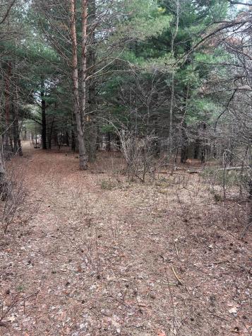Tbd 253rd Street NW Zimmerman MN 55398