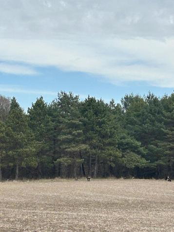 Tbd 253rd Street NW Zimmerman MN 55398