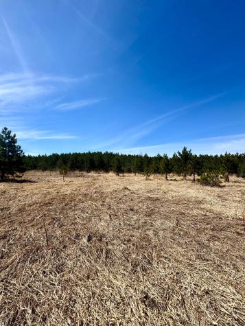 Lot 3 Scenic Highway 7 Bovey MN 55709