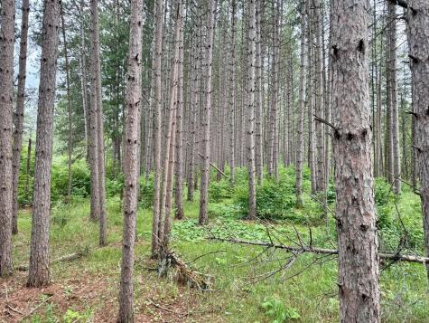 Tbd 20th St. SW 20 St. SW Pine River MN 56474