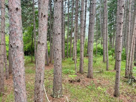 Tbd 20th St. SW 20 St. SW Pine River MN 56474