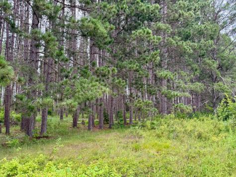 Tbd 20th St. SW 20 St. SW Pine River MN 56474