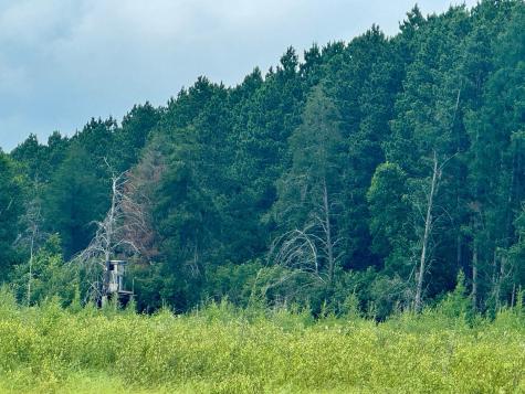 Tbd 20th St. SW 20 St. SW Pine River MN 56474