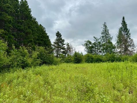 Tbd 20th St. SW 20 St. SW Pine River MN 56474