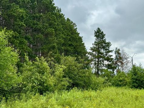 Tbd 20th St. SW 20 St. SW Pine River MN 56474