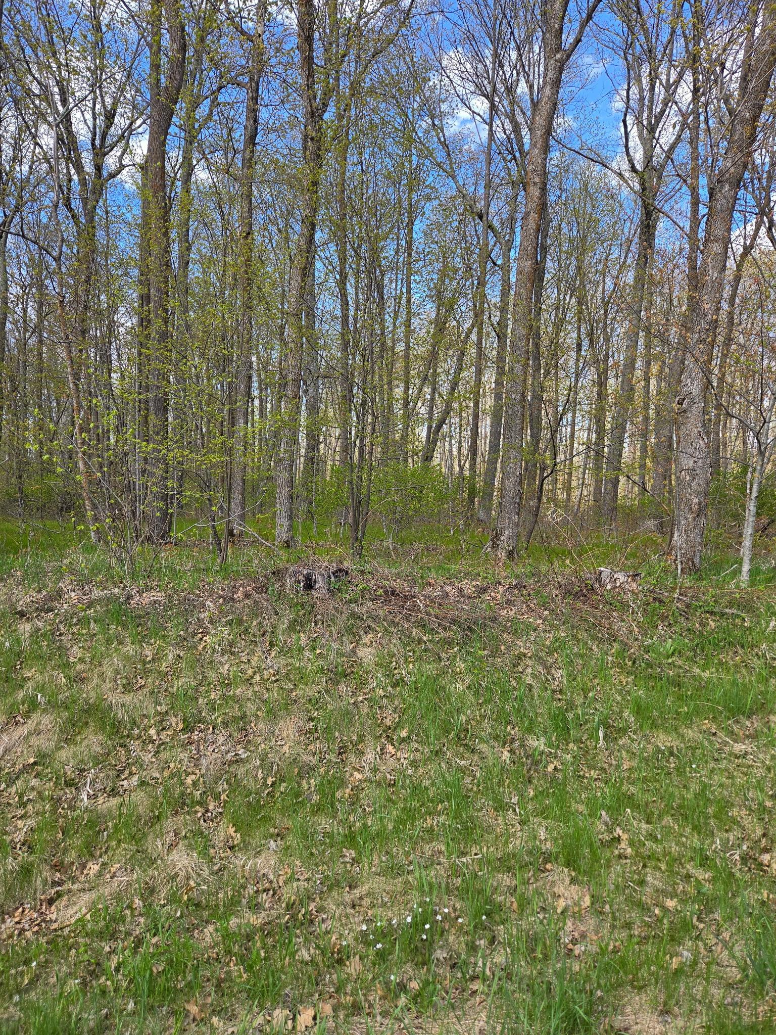 Tbd Nicholas Street Grand Rapids MN 55744