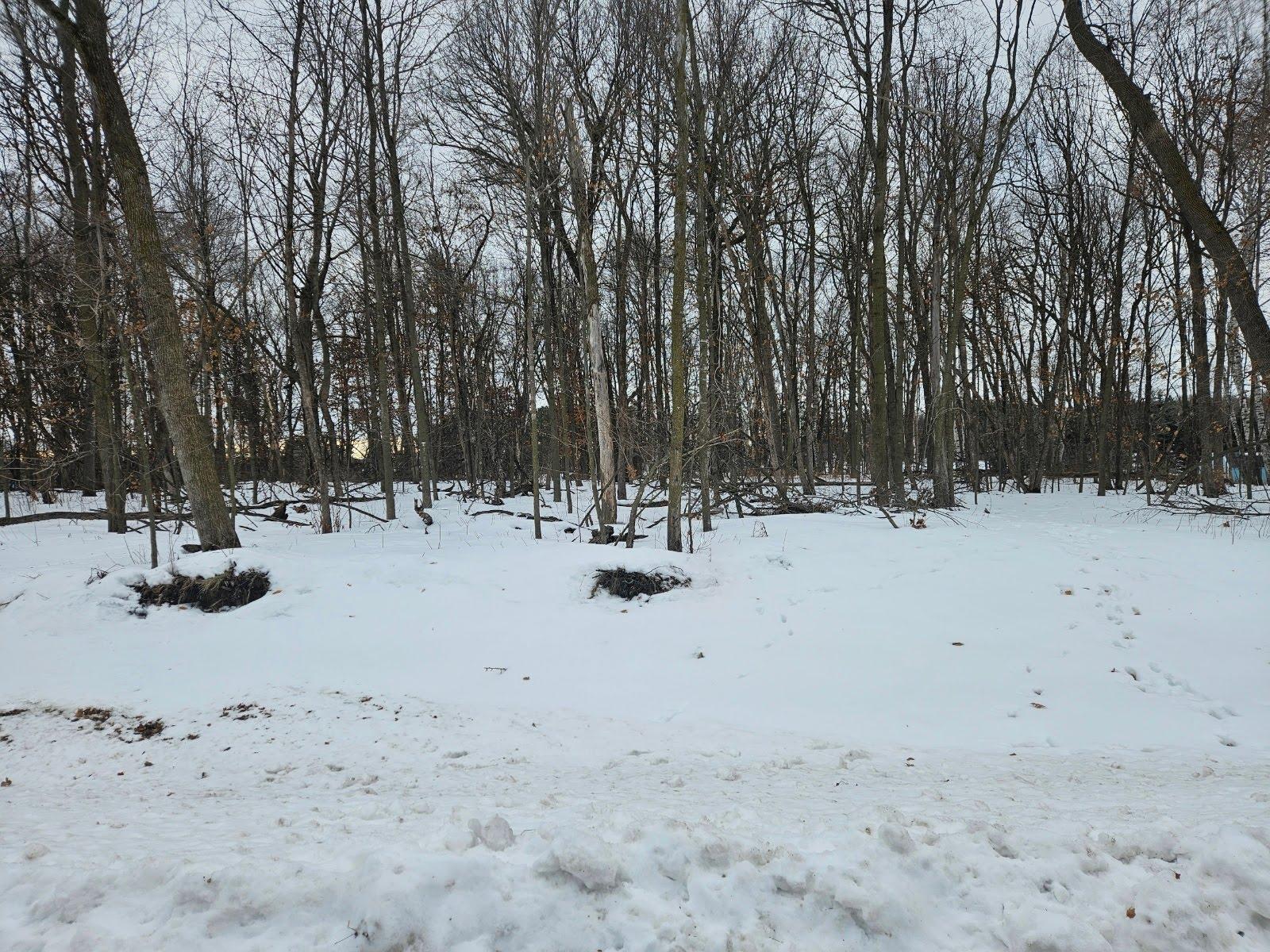 Lot 1, Block 3 2 1/2 Avenue NE Saint Stephen MN 56375