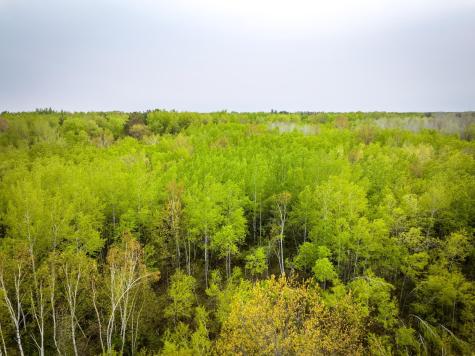 1909 County Highway 61 Sandstone MN 55072