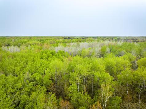 1909 County Highway 61 Sandstone MN 55072