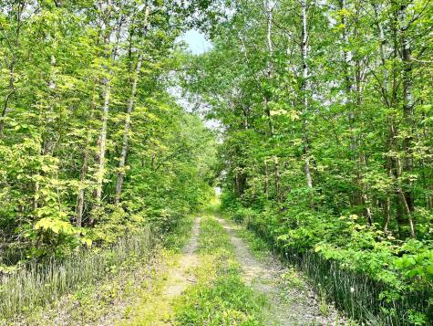 37551 County Road 126 Rochert MN 56578