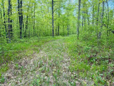 9072 County 8 NE Remer MN 56672