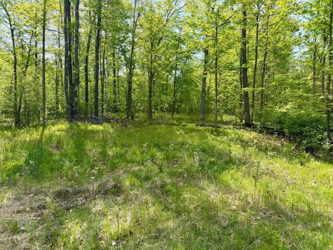 9072 County 8 NE Remer MN 56672