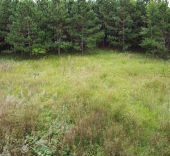 49936 County Highway 54 New York Mills MN 56567