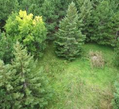 49936 County Highway 54 New York Mills MN 56567