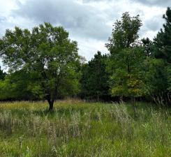 49936 County Highway 54 New York Mills MN 56567