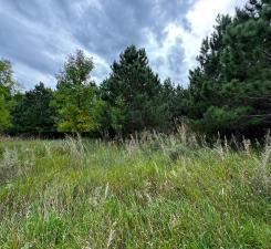 49936 County Highway 54 New York Mills MN 56567
