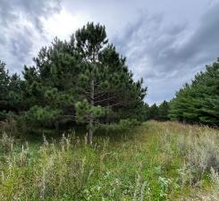49936 County Highway 54 New York Mills MN 56567