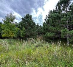 49936 County Highway 54 New York Mills MN 56567