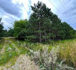 49936 County Highway 54 New York Mills MN 56567