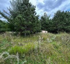 49936 County Highway 54 New York Mills MN 56567
