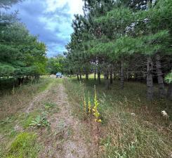 49936 County Highway 54 New York Mills MN 56567