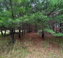 49936 County Highway 54 New York Mills MN 56567