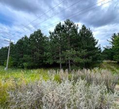 49936 County Highway 54 New York Mills MN 56567