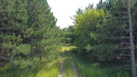 49936 County Highway 54 New York Mills MN 56567
