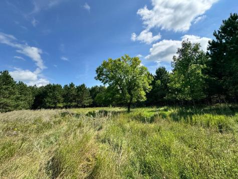 49936 County Highway 54 New York Mills MN 56567