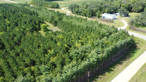 49936 County Highway 54 New York Mills MN 56567