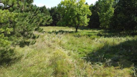 49936 County Highway 54 New York Mills MN 56567