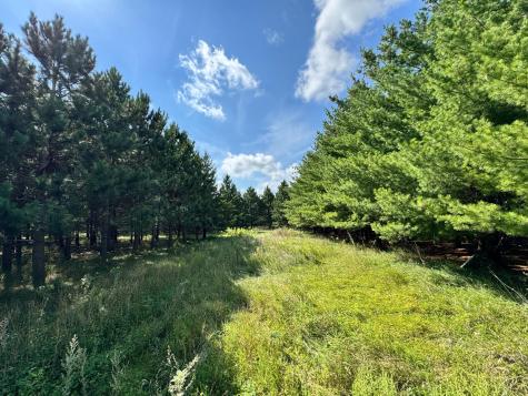 49936 County Highway 54 New York Mills MN 56567