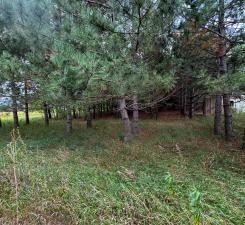 49936 County Highway 54 New York Mills MN 56567