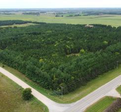 49936 County Highway 54 New York Mills MN 56567