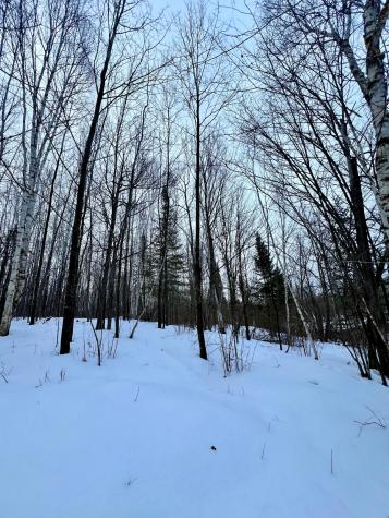 101 Baich Drive Coleraine MN 55722
